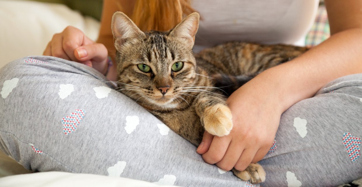 How Cats Benefit my Mental Health