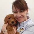Dr Gretta Howard - Veterinarian profile picture